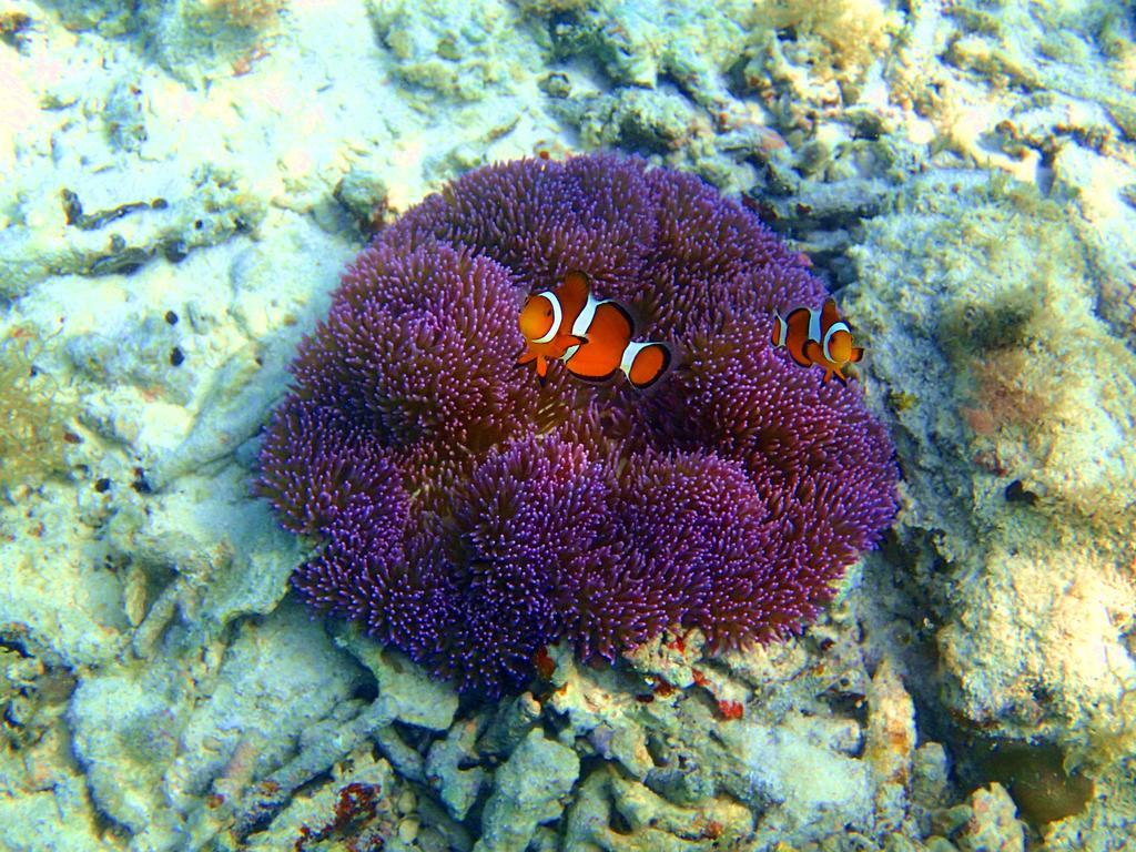Готель Furaiso Okinawa Екстер'єр фото